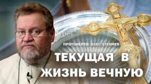 ТЕКУЩАЯ В ЖИЗНЬ ВЕЧНУЮ. Проповедь в Крещенский сочельник.  Протоиерей Олег Стеняев