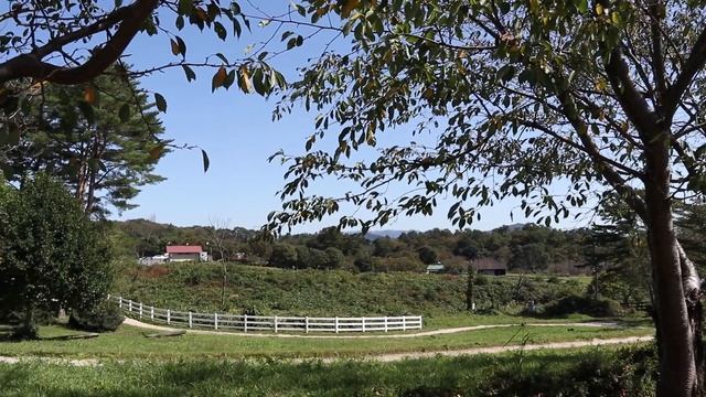 【お泊りVlog前編】岡山県の蒜山高原から湯原温泉で１泊しております。高原でのジンギスカンや、馬にエサやり体験、ジャージー牛乳、全国百名水のスポットへ行ってます。前編は蒜山高原、後編は湯原温泉です。 смотреть онлайн