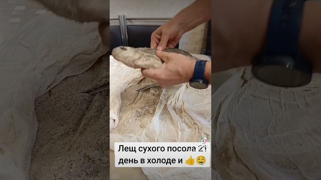 Лещ сухой посол смотреть онлайн