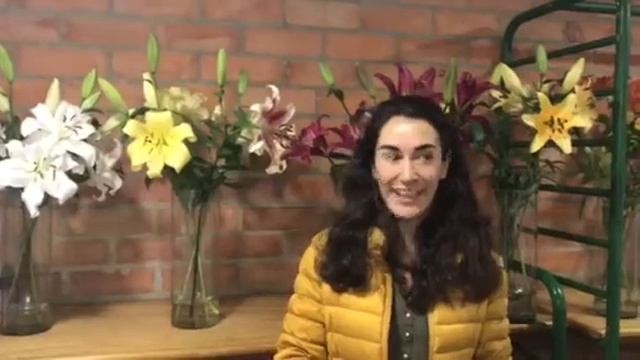 Advantages of Oriental Trumpet Lily or OT Lily смотреть онлайн
