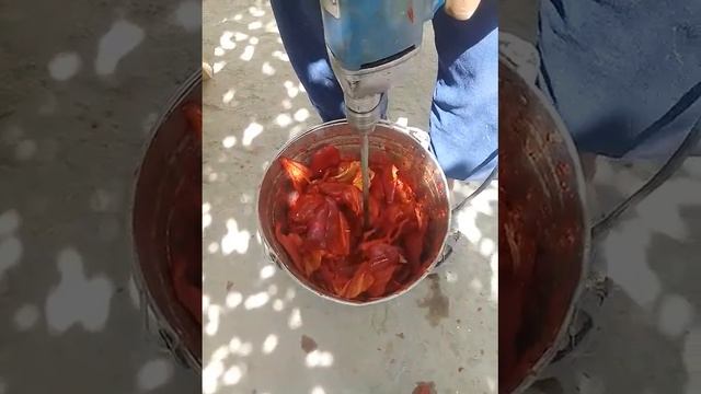 как быстро измельчить болгарский перец смотреть онлайн