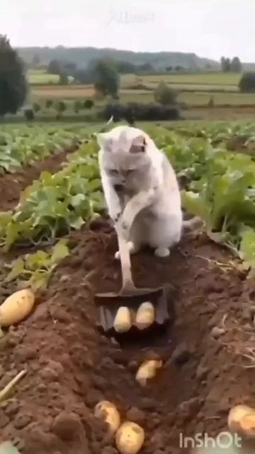 15-02-2025 смотреть онлайн