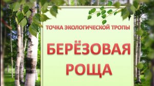 БЕРЁЗОВАЯ РОЩА