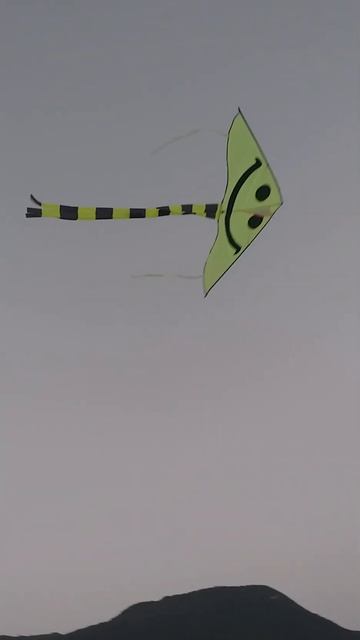 #happy #smiley #kite #kiteflying #shorts #viralshorts смотреть онлайн