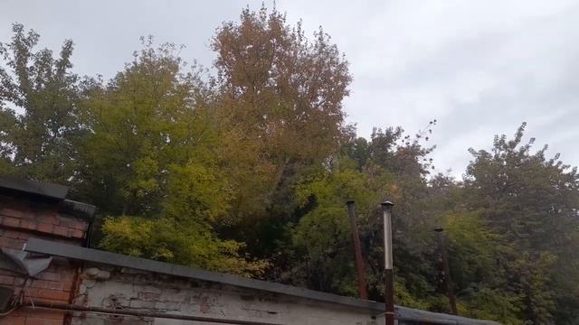 ворона накаркала смотреть онлайн