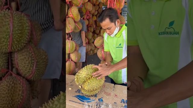 PUSAT DURIAN MONTONG BEKASI CUMA 55 RIBU SELALU LARIS DAN DISERBU PEMBELI😍 смотреть онлайн