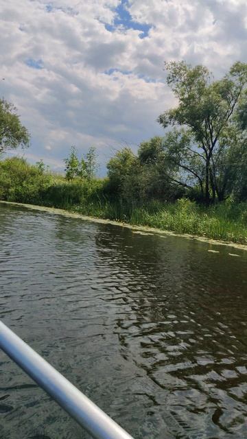 VID_20240629_135102 смотреть онлайн