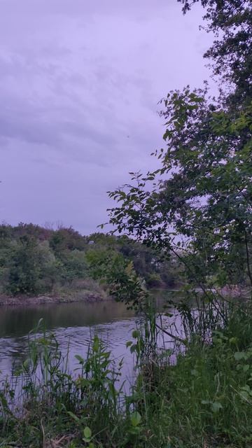 VID_20240531_201604 смотреть онлайн