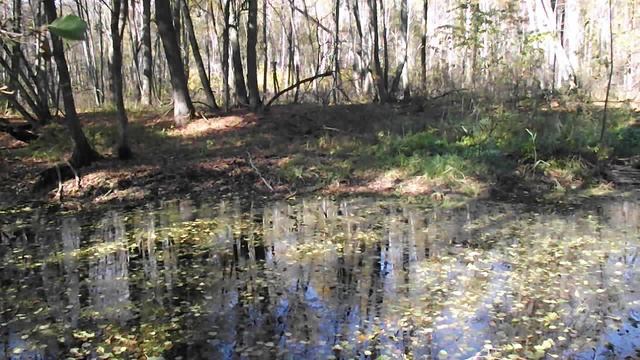 DSCF5945 смотреть онлайн