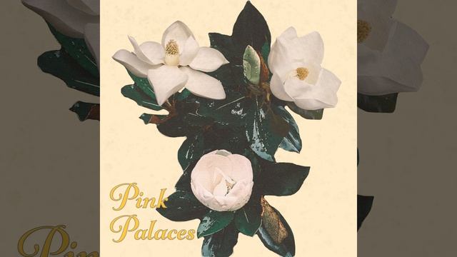 Magnolia Pt II смотреть онлайн