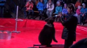 Цирк Альметьевск Татарстан смотрим