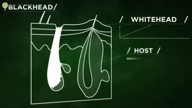 Pure System Yves Rocher смотреть онлайн