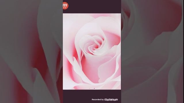 Смотреть до конца !было очень сложно @! смотреть онлайн