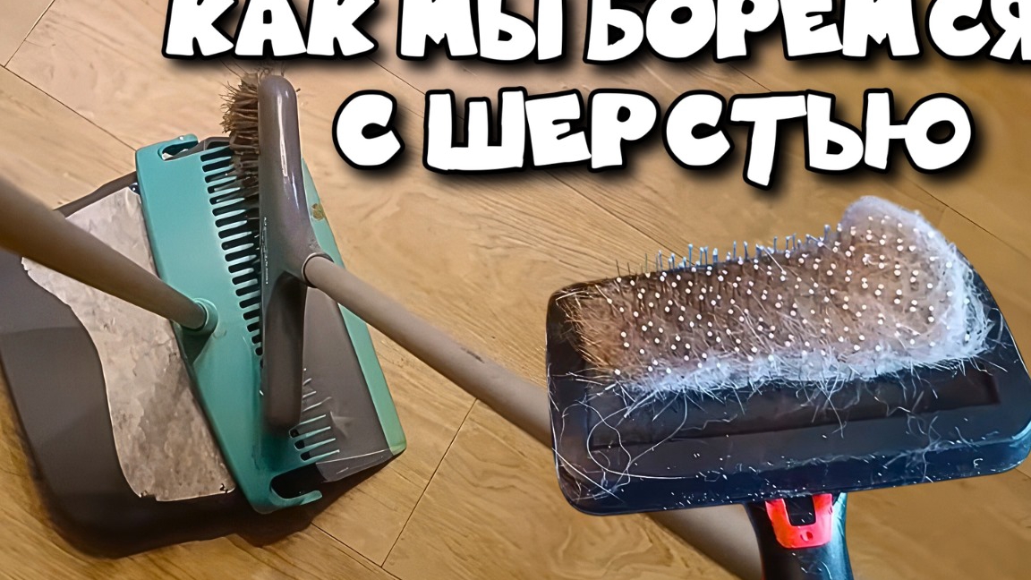 Как мы боремся с шерстью. смотреть онлайн