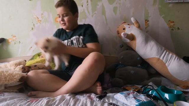 Покупаю шпица. + Покупаю что нужно ей. Влог.