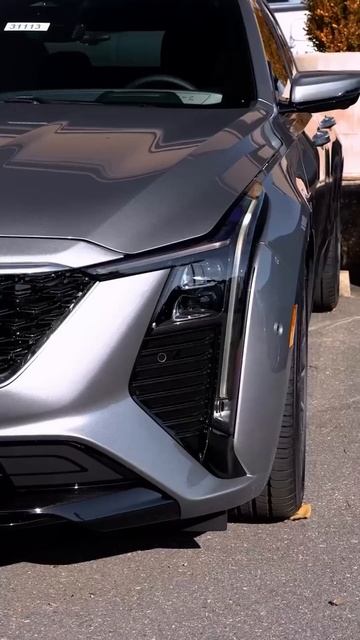 #8888COMFORT_ZONE8888