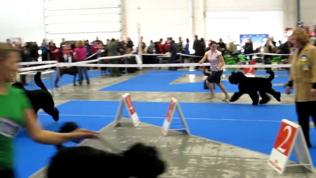 ЦАЦИБ BRT Киев 11 11 11 сравнение ВОВ смотреть онлайн