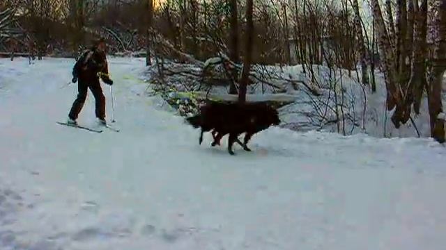 4dg.mp4 смотреть онлайн