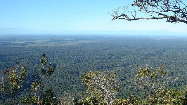 Monte Pascoal National Park | Wikipedia audio article смотреть онлайн