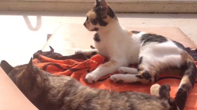 Моя поездка в Турцию / Кемер / Лето 2013 смотреть онлайн