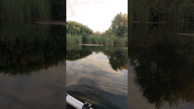 VID_20240628_201255 смотреть онлайн
