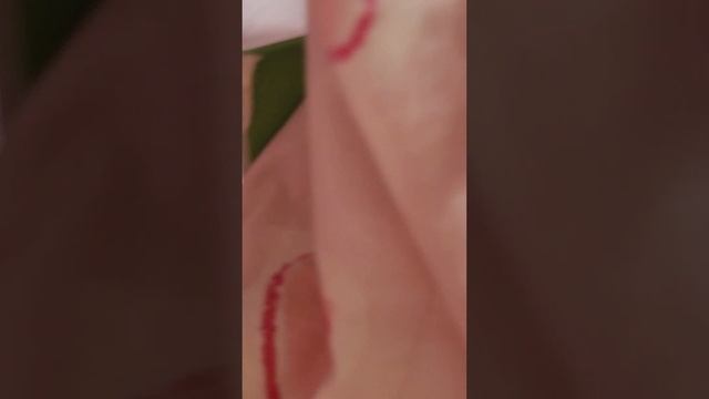 Я в шкуре своего кролика 24 часа. #24кролик,#кролик,#челлендкролик смотреть онлайн