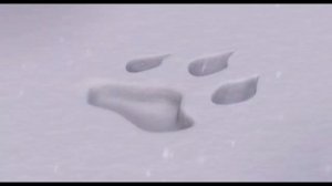 Ice Age in 1 Minute