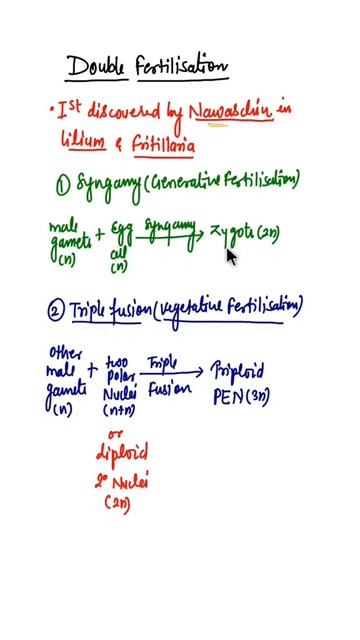 Double Fertilization in Angiosperms #shorts #reproductioninfloweringplants смотреть онлайн