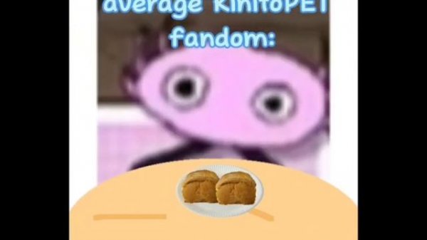 Kinito Pet Memes Comp