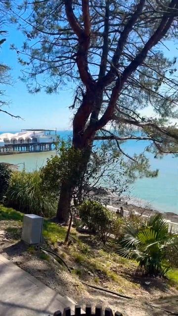 Шедеврально , живописный Сочи#россия #городароссии #отдых #курортымира #сочи #парки смотреть онлайн