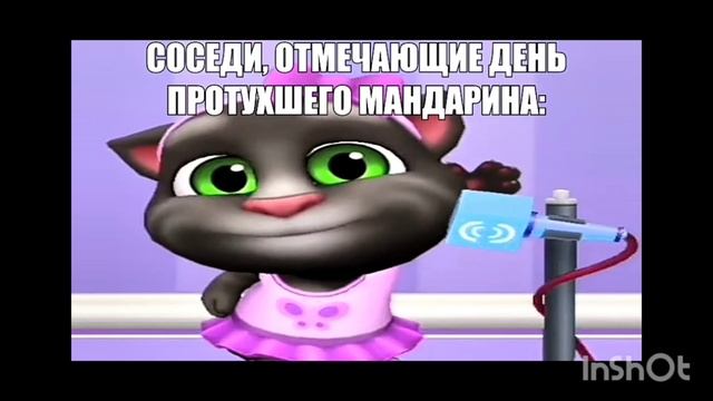 день протухшего мандарина смотреть онлайн