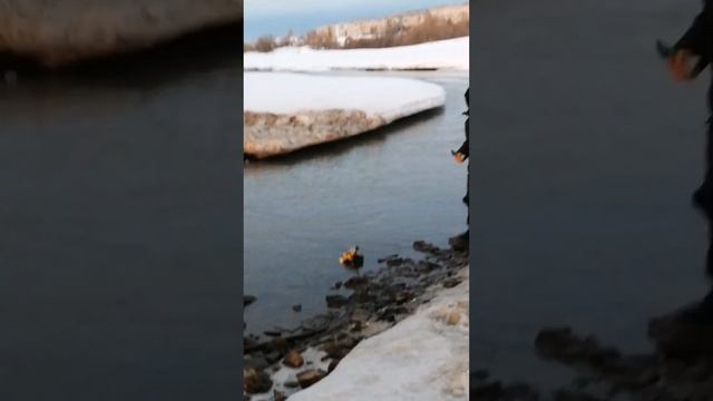 ВЕСЕННИЙ ВЛОГ. смотреть онлайн
