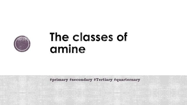 Kimia Organik SMAKBO Kelas 12 | Amine 1 смотреть онлайн