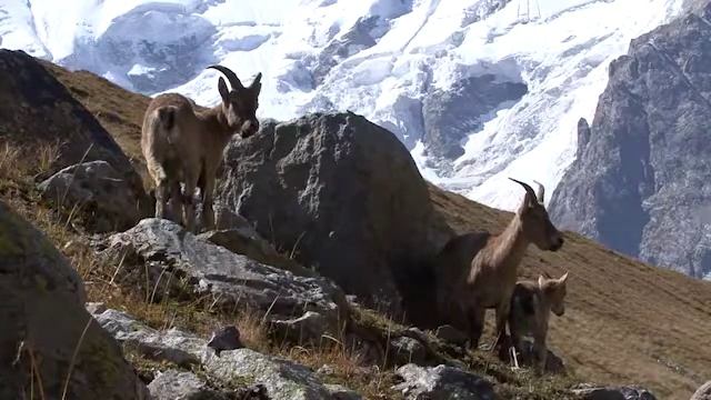 Bezen09 022245 1 смотреть онлайн