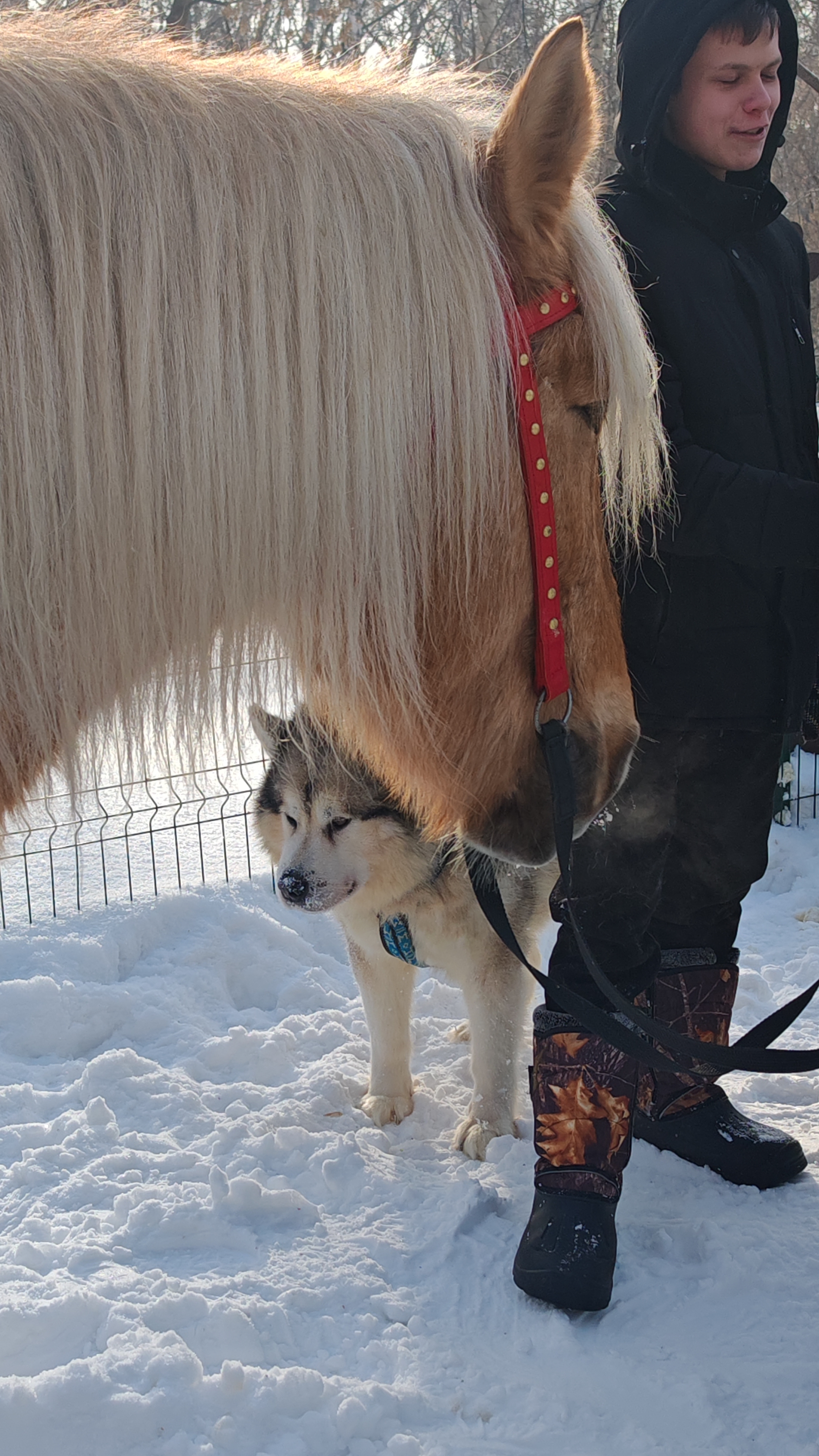 Парк Берёзовая роща смотреть онлайн
