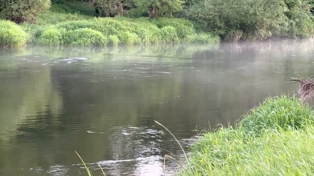 4К 60fps река Протока Загрязье Боровский район Калужской области 03/06/2023