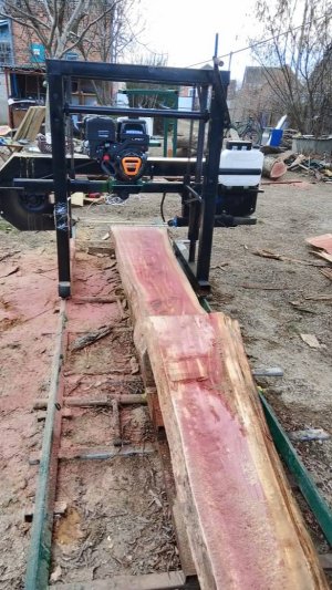 ленточная пилорама в работе