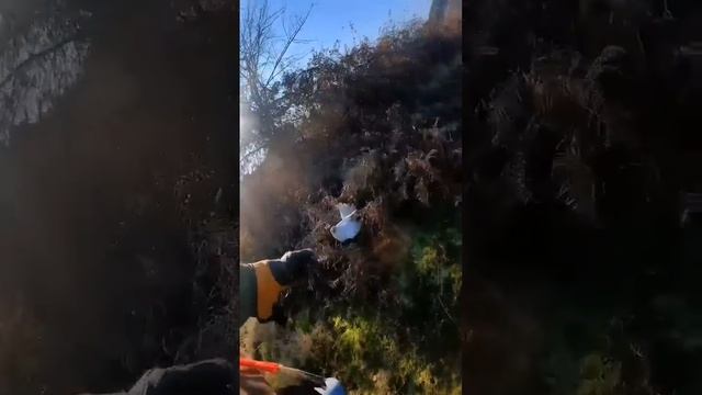 👀НАПАДЕНИЕ ОРЛА НА МАЛЕНЬКОГО КРОЛИКА! У КРОЛИКА НЕТ ШАНСОВ 😎💪 смотреть онлайн