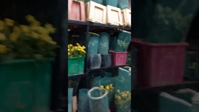 Flowers PreCooling Cold Store смотреть онлайн