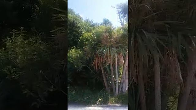 Сочи смотреть онлайн