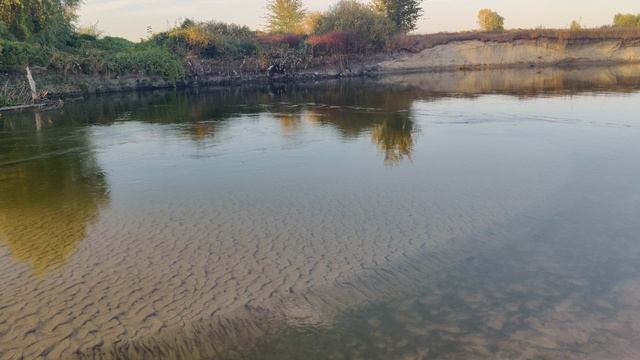VID_20240908_174754 смотреть онлайн
