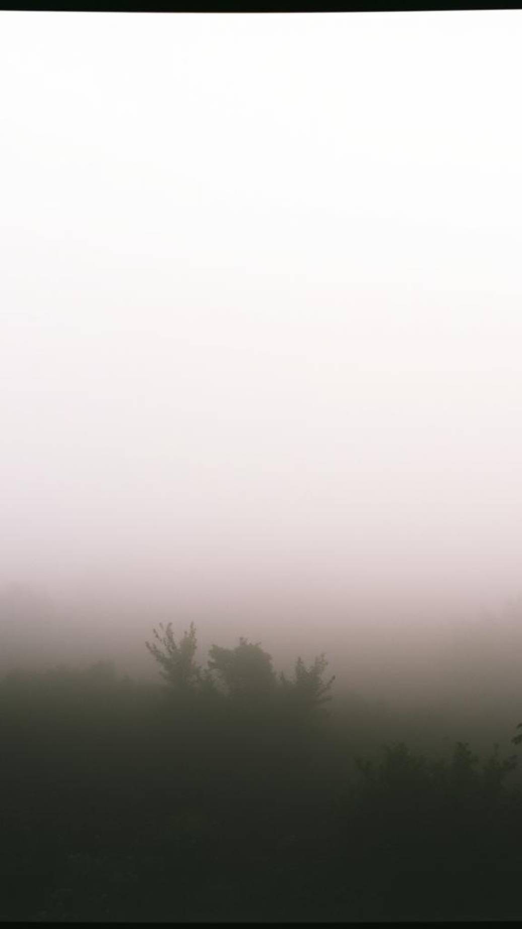 Продолжение. V101_51