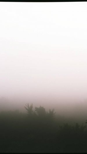 Продолжение. V101_51