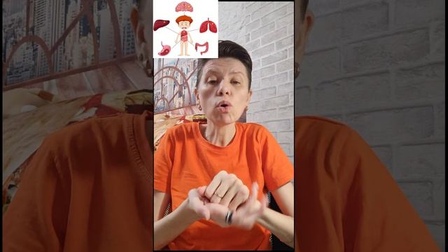 Пример о Ливер и Метасел