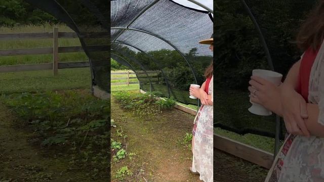 My Trial Garden 🌱 | May 2023 смотреть онлайн