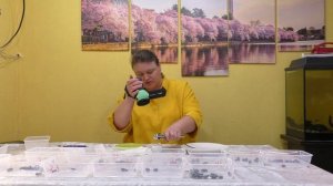 4 серия жимолость замер сахара в брикс