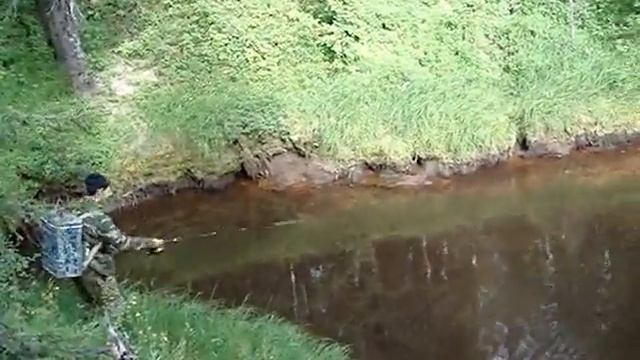 За диким хариусом смотреть онлайн