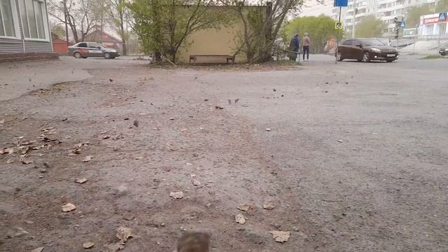 вальс смотреть онлайн