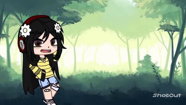 объяснение к видео