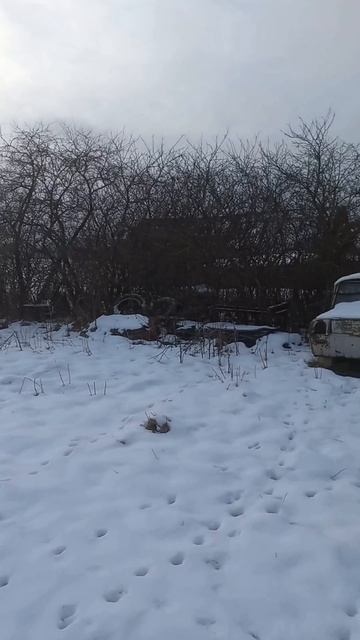 пейзаж Гинели. Раритет